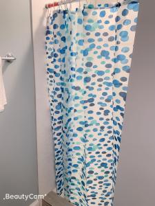 a shower curtain with a blue and white pattern at EN SUITE NEXT TO FELLS POINT in Baltimore