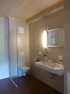bagno con lavandino, servizi igienici e specchio di Stiftsschmiede Ossiach a Ossiach