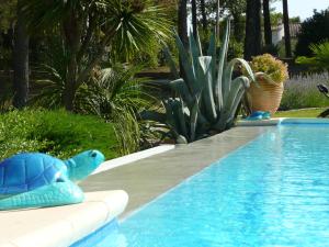 uma piscina com uma tartaruga de brinquedo azul num quintal em Les Pitounus em Les Arcs sur Argens