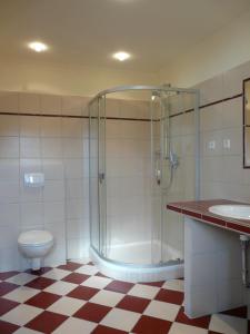 ein Bad mit einer Dusche, einem WC und einem Waschbecken in der Unterkunft Gasthaus Weingut Stahl in Oberwesel
