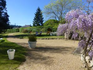 a garden with purple flowers in pots on a path at La Maison du Closier in Blois
