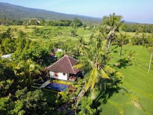 an aerial view of a house in the middle of a field at Lafyu Bali in Singaraja