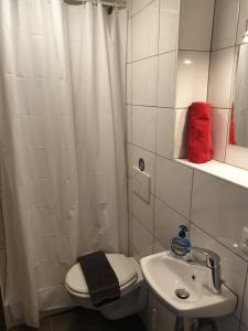 a bathroom with a toilet and a sink and a shower at Relax City Apartments in Kehl am Rhein +23 photos