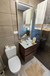 W łazience znajduje się toaleta, umywalka i lustro. w obiekcie Sea Breeze II w Caniço
