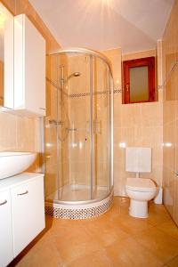 een badkamer met een douche, een toilet en een wastafel bij Appartamento Petra Tignale by Gardadomusmea in Tignale