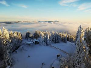 Gallery image of Špičák sruby - Horní dům in Špičák