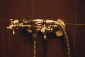 a close up of a shower faucet in a bathroom at Holiday Homes Poli Svetega Antona in Gračišće