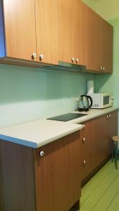 a kitchen with wooden cabinets and a counter top at Romantisks apartaments ar lapenīti G18 in Līgatne