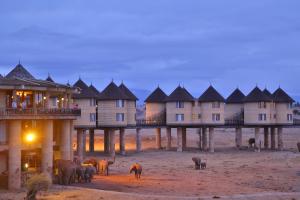 a group of elephants standing in front of a building at Salt Lick Safari Lodge in Tsavo