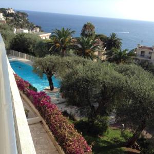 - une vue sur la piscine bordée d'arbres et de fleurs dans l'établissement Appartement Les Oliviers, à Nice