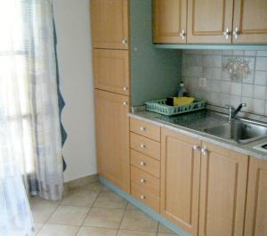Apartments Vila Afrodita tesisinde mutfak veya mini mutfak