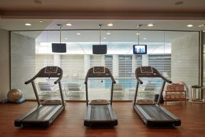 - une salle de sport avec trois tapis de course dans l'établissement Cavo Olympo Luxury Hotel & Spa - Adult Only, à Plaka Litochorou