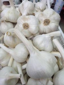 a bunch of white onions in a basket at Romitorio di Castiglione del Lago in Pozzuolo