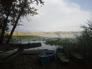zwei Boote am Ufer eines Sees in der Unterkunft Romitorio di Castiglione del Lago in Pozzuolo