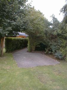 a garden with a brick path in the grass at Fewo to Hus in Bad Bederkesa