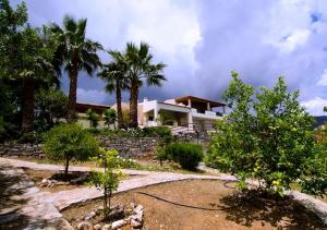 a house with palm trees in front of it at Villa Irida in Agios Nikolaos