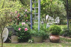 a garden with pots of flowers and a ladder at Le Bonheur à la Campagne in Lesmont