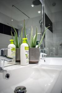 - un lavabo dans la salle de bains avec 2 bouteilles de savon et de plantes dans l'établissement La Maison de Valentine, à Bordeaux