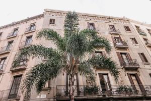 a palm tree in front of a building at Pensión 45 in Barcelona