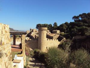 a castle on the side of a hill with trees at Apartamento Victor in Tossa de Mar