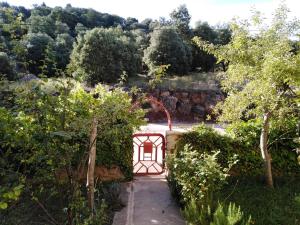 ogród z bramą na środku podwórza w obiekcie Chalet de la montagne w mieście Ifrane
