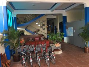 Ποδηλασία στο Bamboo's House ή στη γύρω περιοχή +82 φωτογραφίες