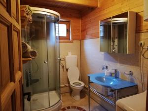 a bathroom with a shower and a toilet and a sink at Vikendice Biocinovici in Kolašin