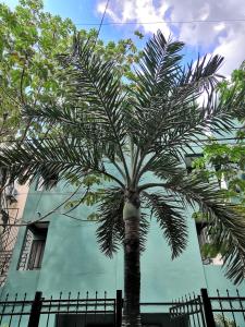 Gallery image of Apartment & Studio 28 in Playa del Carmen