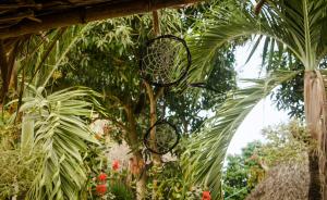 Zahrada ubytování Hostal Corazón de Tagua