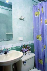 a bathroom with a sink and a shower curtain at Hostel Casa Alb in Bogotá