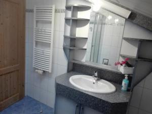 a bathroom with a sink and a mirror at Obertimmeltaler in Matrei in Osttirol