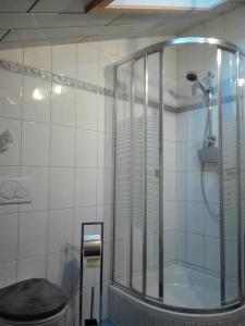 bagno con doccia in vetro e servizi igienici. di Obertimmeltaler a Matrei in Osttirol