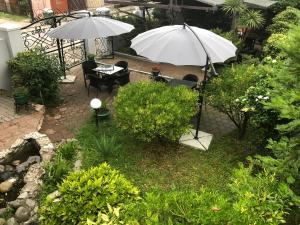 Κήπος έξω από το Hotel Simpatia