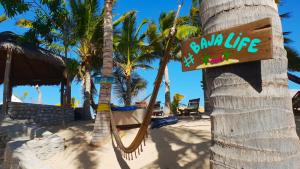 a beach with palm trees and palm trees at ChiloChill Glamping Resort in La Ventana