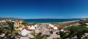 
a beach with palm trees and palm trees at ChiloChill Glamping Resort in La Ventana
