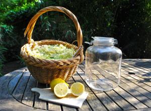 a picnic table with a basket and a jar and lemons at De tuin van Agatha in Kortessem +40 photos