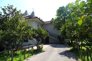 une maison blanche avec des arbres et un chemin de terre dans l'établissement Country House L'Ippocastano, à Altavilla Silentina