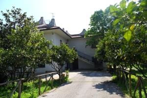 a white house with trees and a dirt road at Country House L'Ippocastano in Altavilla Silentina