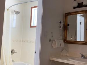 a bathroom with a shower and a sink and a mirror at Evening Star Motel in Greenwood