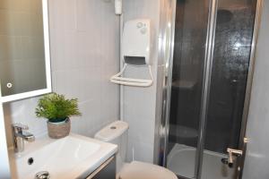 カップ・ダグドにあるStudio Cabine Centre Port Cap d'Agdeのバスルーム(シャワー、トイレ、シンク付)