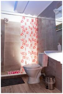 奇亞頓的住宿－SOTIRIA APARTMENT，浴室配有卫生间、淋浴和盥洗盆。