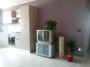 a kitchen with a tv on a stand with a plant at I TRE NOCI in Castel di Sangro