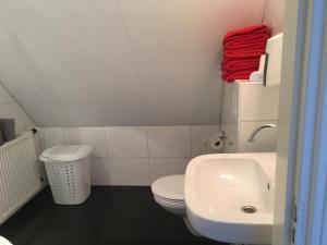 a small bathroom with a toilet and a sink at De Tuinkamer in Ter Apel