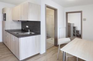 Kuchyň nebo kuchyňský kout v ubytování Apartment Hotel 37