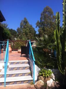 a set of stairs in a garden with cactus at Casa Lentischio in Cala Gonone +29 photos