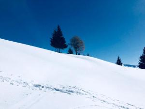 Haus Alpenrose v zimě