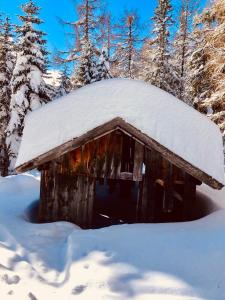 Haus Alpenrose v zimě