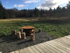 een picknicktafel met houtblokken eromheen in een veld bij Brynllwyd Glamping in Devils Bridge