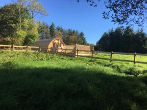 a barn in a field next to a fence at Brynllwyd Glamping in Devils Bridge