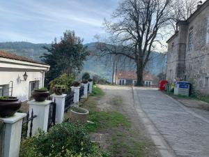 een lege straat met potplanten op een hek bij A casiña do Rodri in Ribadavia